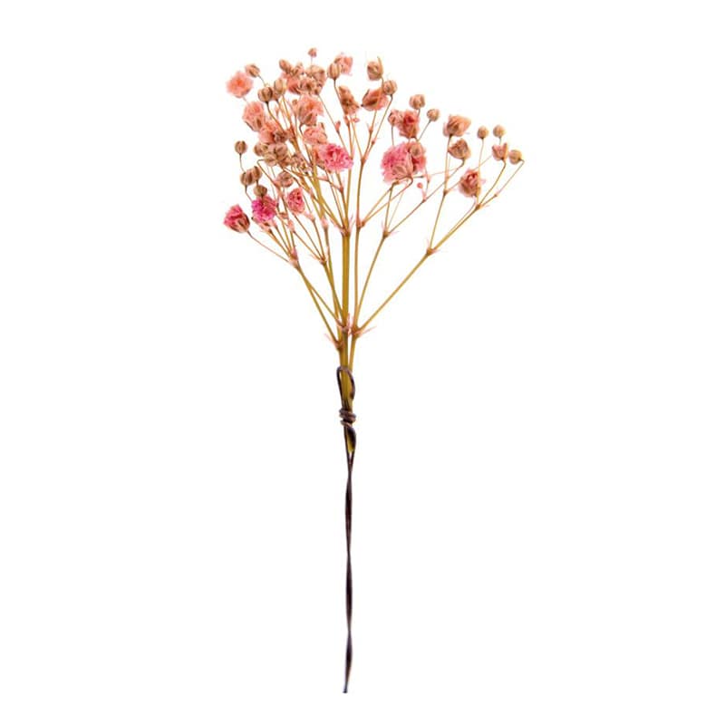 フロールエバー プリザーブドフラワー　カスミソウW スモールパック　ピンク FLPP6830-860 1パック（ご注文単位6パック）【直送品】