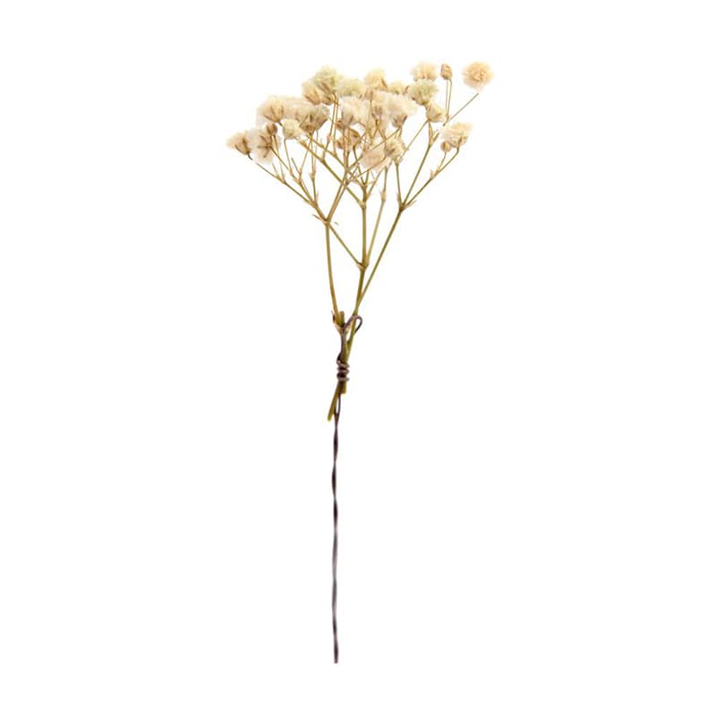 フロールエバー プリザーブドフラワー　カスミソウW スモールパック　ナチュラル FLPP6830-910 1パック（ご注文単位6パック）【直送品】