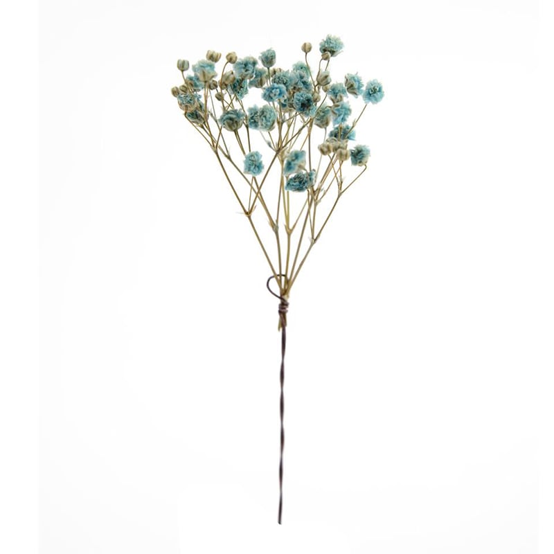 フロールエバー プリザーブドフラワー　カスミソウW スモールパック　パウダーブルー FLPP6830-940 1パック（ご注文単位6パック）【直送品】