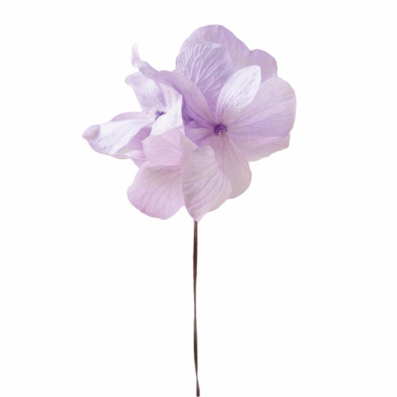 フロールエバー プリザーブドフラワー　プレタポルテ アンデスアジサイ　ソフトライラック FLPP2911-43 35本/箱（ご注文単位1箱）【直送品】