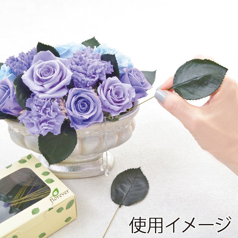 フロールエバー プリザーブドグリーン プレタポルテ ローズリーフ グリーン FLPP9111-800 50本/箱(ご注文単位1箱)【直送品】