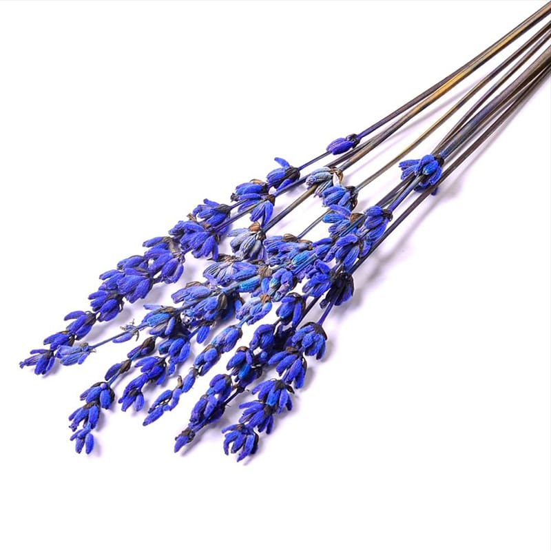 フロールエバー プリザーブドフラワー　ラベンダー スモールパック　ブルー FL600835-870 1袋（ご注文単位6袋）【直送品】