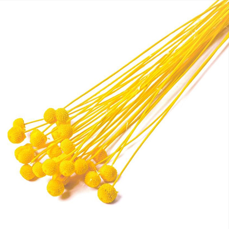 フロールエバー ドライフラワー　アマレリーノ　ドライ スモールパック　イエロー FLDR6011-810 1袋（ご注文単位6袋）【直送品】