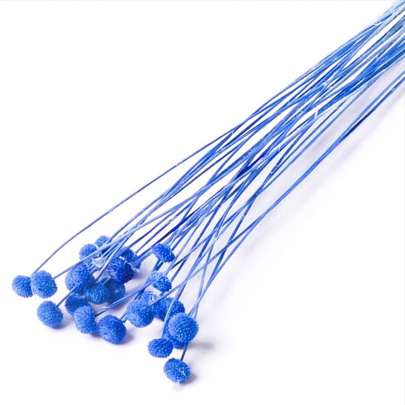 フロールエバー ドライフラワー　アマレリーノ　ドライ スモールパック　ブルー FLDR6011-870 1袋（ご注文単位6袋）【直送品】