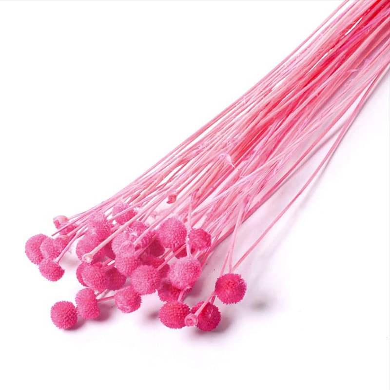 フロールエバー ドライフラワー　アマレリーノ　ドライ スモールパック　ダークピンク FLDR6011-930 1袋（ご注文単位6袋）【直送品】