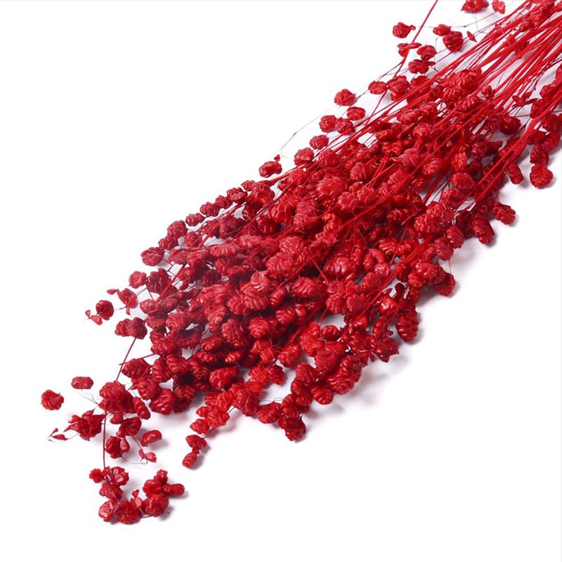 フロールエバー ドライフラワー　ブリーザ　ドライ スモールパック　レッド FLDR6012-830 1袋（ご注文単位6袋）【直送品】