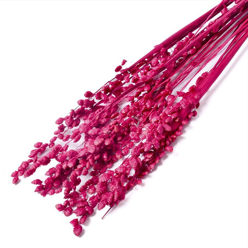 フロールエバー ドライフラワー　ブリーザ　ドライ スモールパック　ダークピンク FLDR6012-930 1袋（ご注文単位6袋）【直送品】