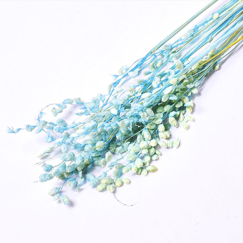 フロールエバー ドライフラワー　ブリーザ　ドライ スモールパック　ライトブルー FLDR6012-940 1袋（ご注文単位6袋）【直送品】