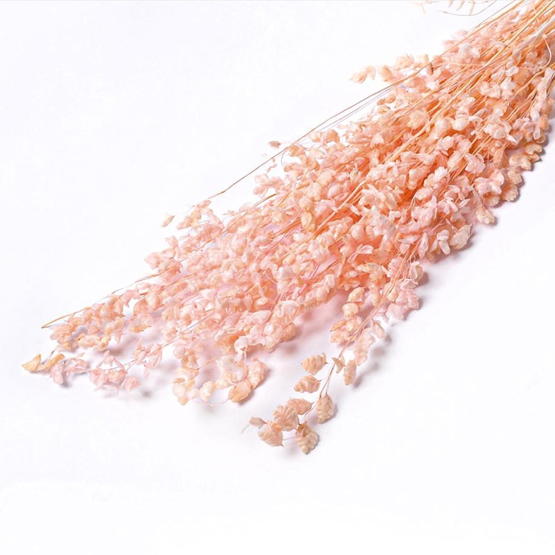 フロールエバー ドライフラワー　ブリーザ　ドライ スモールパック　ライトピンク FLDR6012-970 1袋（ご注文単位6袋）【直送品】