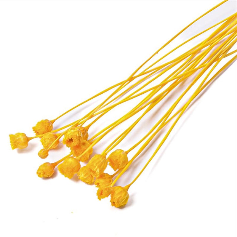 フロールエバー ドライフラワー　ジャジルダ　ドライ スモールパック　イエロー FLDR6017-810 1袋（ご注文単位6袋）【直送品】