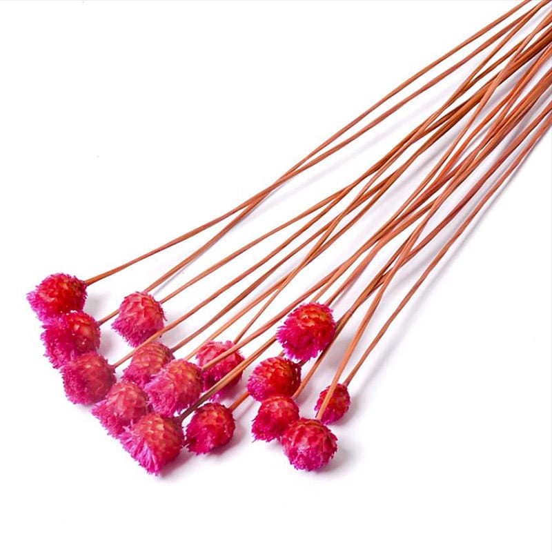 フロールエバー ドライフラワー　ジャジルダ　ドライ スモールパック　ダークピンク FLDR6017-930 1袋（ご注文単位6袋）【直送品】