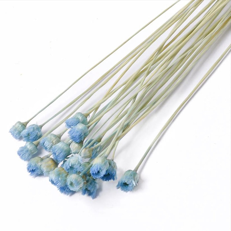 フロールエバー ドライフラワー　ジャジルダ　ドライ スモールパック　ライトブルー FLDR6017-940 1袋（ご注文単位6袋）【直送品】