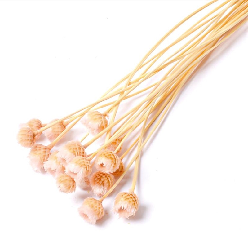 フロールエバー ドライフラワー　ジャジルダ　ドライ スモールパック　ライトピンク FLDR6017-970 1袋（ご注文単位6袋）【直送品】