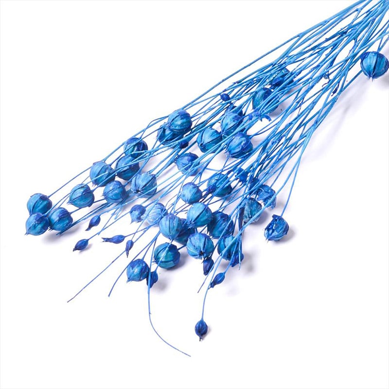 フロールエバー ドライフラワー　リンフラワー　ドライ スモールパック　ブルー FLDR6023-870 1袋（ご注文単位6袋）【直送品】