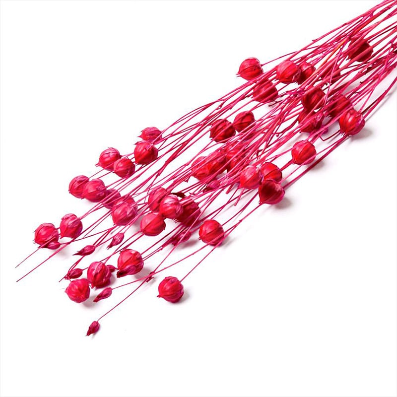 フロールエバー ドライフラワー　リンフラワー　ドライ スモールパック　ダークピンク FLDR6023-930 1袋（ご注文単位6袋）【直送品】