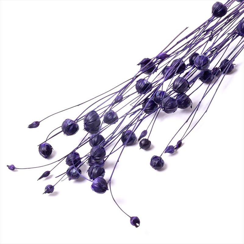 フロールエバー ドライフラワー　リンフラワー　ドライ スモールパック　パープル FLDR6023-960 1袋（ご注文単位6袋）【直送品】