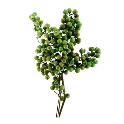 フロールエバー プリザーブドフラワー　ペッパーベリー ライトグリーン　スモールパック FL600865-770 1パック（ご注文単位6パック）【直送品】