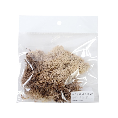 フロールエバー プリザーブド ノルディックモス ナチュラル スモールパック FL600820-910 1パック(ご注文単位6パック)【直送品】