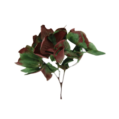 フロールエバー プリザーブドフラワー ヨーロピアンアジサイ デュオ スモールパック グリーン×レッド FL600295-307 1パック(ご注文単位6パック)【直送品】