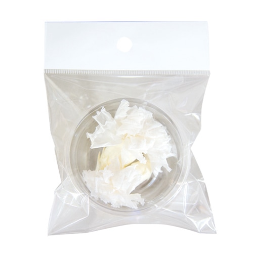 フロールエバー プリザーブドフラワー ミニカーネーション 2P パールホワイト FLS12002-01 1パック（ご注文単位1パック）【直送品】