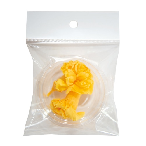 フロールエバー プリザーブドフラワー ミニカーネーション 2P イエロー FLS12002-02 1パック（ご注文単位1パック）【直送品】