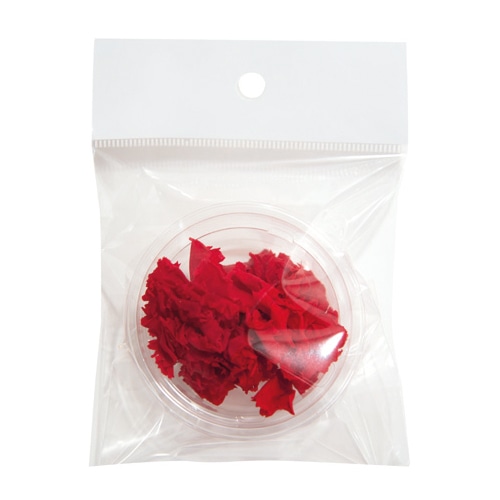 フロールエバー プリザーブドフラワー ミニカーネーション 2P チェリーレッド FLS12002-05 1パック（ご注文単位1パック）【直送品】