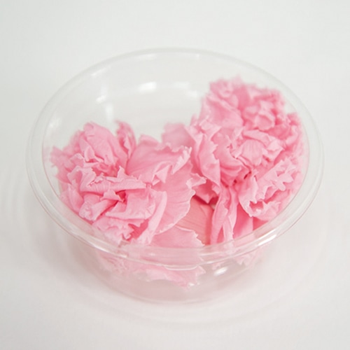 フロールエバー プリザーブドフラワー ミニカーネーション 2P ベイビーピンク FLS12002-07 1パック(ご注文単位1パック)【直送品】