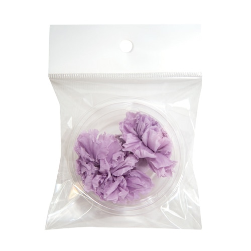 フロールエバー プリザーブドフラワー ミニカーネーション 2P ソフトライラック FLS12002-43 1パック（ご注文単位1パック）【直送品】