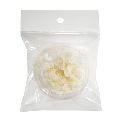 フロールエバー プリザーブドフラワー マイクロカーネーション 6P パールホワイト FLS14006-01 1パック（ご注文単位1パック）【直送品】