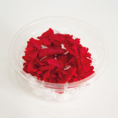 フロールエバー プリザーブドフラワー マイクロカーネーション 6P チェリーレッド FLS14006-05 1パック（ご注文単位1パック）【直送品】