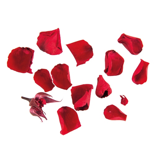 フロールエバー プリザーブドフラワー ミニローズペタル SP レッド FL600019-500 1パック（ご注文単位6パック）【直送品】