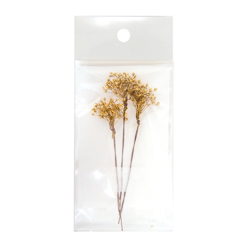 フロールエバー プリザーブドフラワー シャイニーベイビーカスミソウ W SP ゴールド FLPP634S-701 1パック（ご注文単位6パック）【直送品】