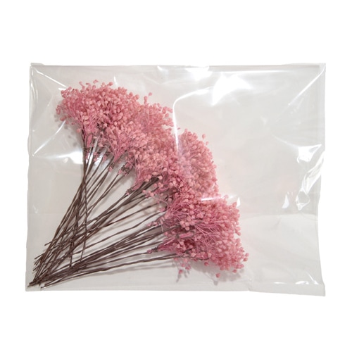 フロールエバー プリザーブドフラワー プレタポルテ ベイビーカスミソウ ピンク FLPP8341-860 1パック（ご注文単位1パック）【直送品】