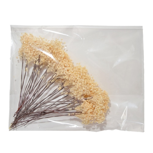 フロールエバー プリザーブドフラワー プレタポルテ ベイビーカスミソウ ナチュラル FLPP8341-910 1パック（ご注文単位1パック）【直送品】