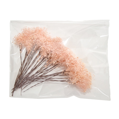 フロールエバー プリザーブドフラワー プレタポルテ ベイビーカスミソウ ライトピンク FLPP8341-970 1パック（ご注文単位1パック）【直送品】