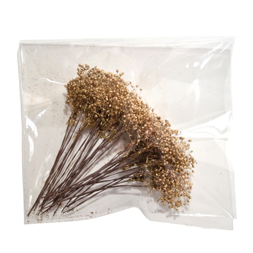 フロールエバー プリザーブドフラワー プレタポルテ シャイニーベイビーカスミソウ ゴールド FLPP834S-701 1パック（ご注文単位1パック）【直送品】