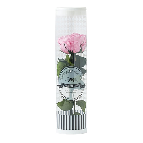 フロールエバー プリザーブドフラワー　ガーデンローズ　キャサリン ステム付　ベイビーピンク FL5042-07 1本（ご注文単位1本）【直送品】