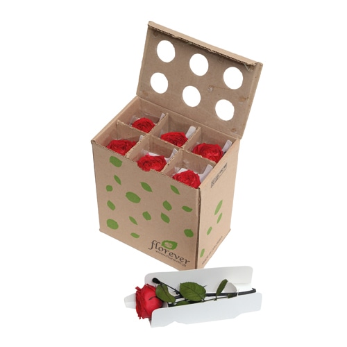 フロールエバー ブリザーブドフラワー　ガーデンローズ　キャサリン ステム付　スリーブ入　チェリーレッド FL5043-05 1箱（ご注文単位1箱）【直送品】