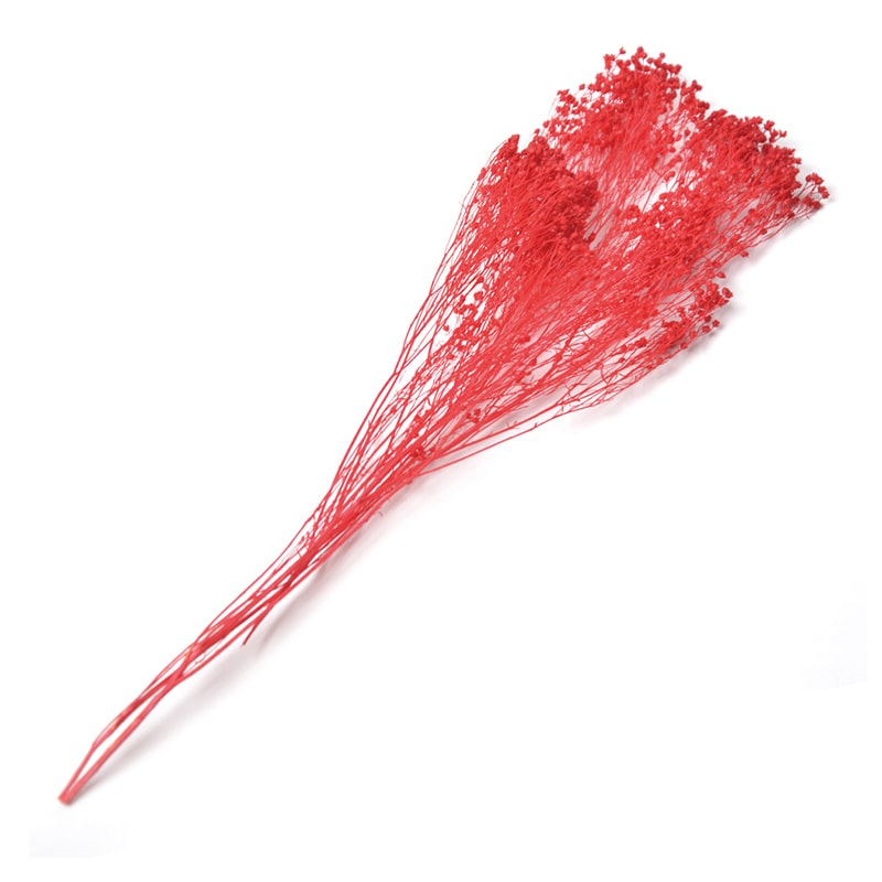 フロールエバー プリザーブドフラワー　ブルーム レッド FL833-830 1束（ご注文単位1束）【直送品】