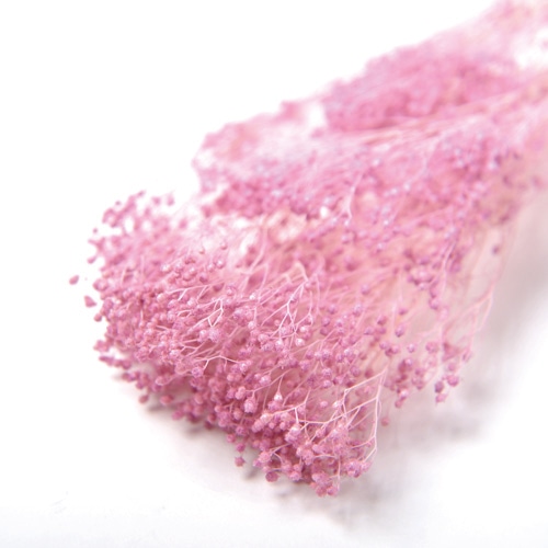 フロールエバー プリザーブドフラワー ブルーム モーブピンク FL833-980 1袋（ご注文単位1袋）【直送品】