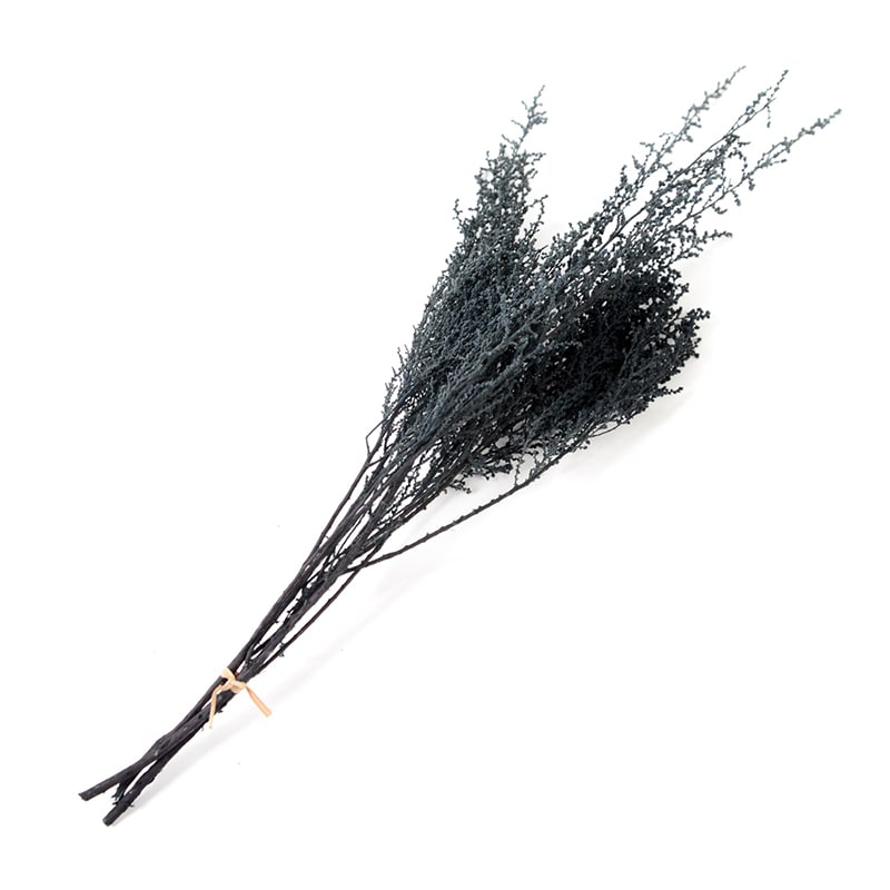 フロールエバー プリザーブドフラワー　ストーベ ブラック FL8371-890 1束（ご注文単位1束）【直送品】