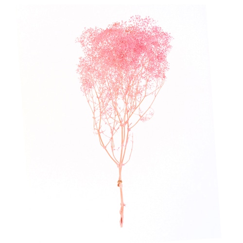 フロールエバー プリザーブドフラワー　ベイビーカスミソウ ピンク FL834-860 1束（ご注文単位1束）【直送品】