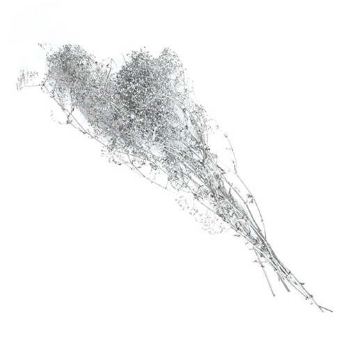 フロールエバー プリザーブドフラワー シャイニーベイビーカスミソウ シルバー FL834S-700 1束（ご注文単位1束）【直送品】