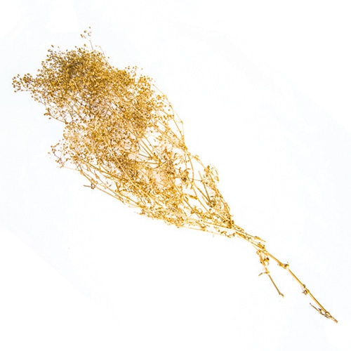 フロールエバー プリザーブドフラワー シャイニーベイビーカスミソウ ゴールド FL834S-701 1束（ご注文単位1束）【直送品】