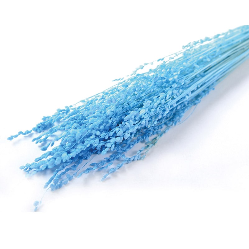 フロールエバー ドライフラワー ブリーザ ドライ ライトブルー FLDR0012-940 1束(ご注文単位1束)【直送品】