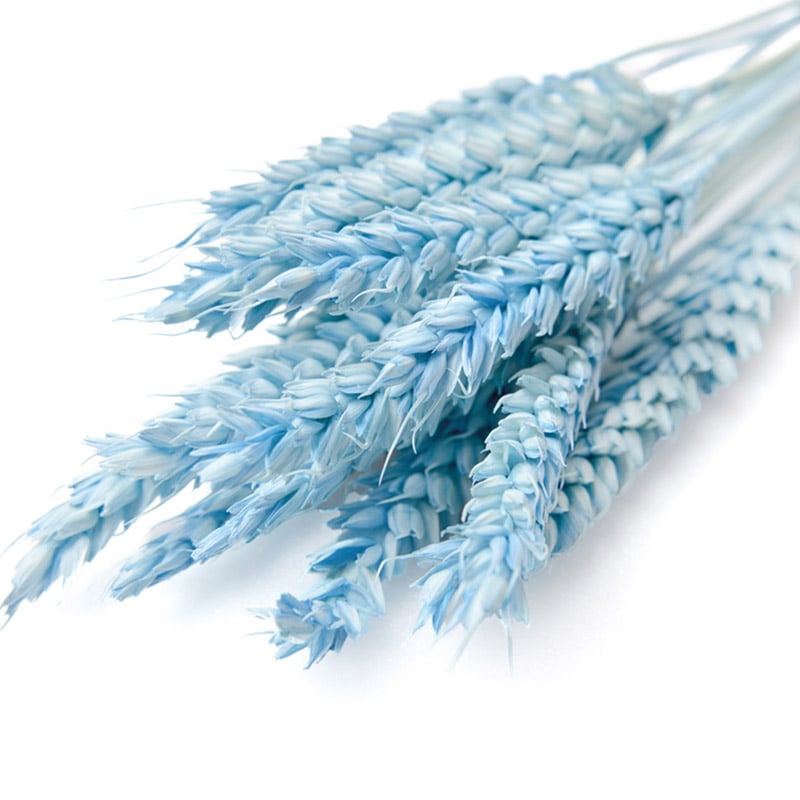 フロールエバー ドライフラワー トリーゴ ドライ ライトブルー FLDR0020-940 1束(ご注文単位1束)【直送品】