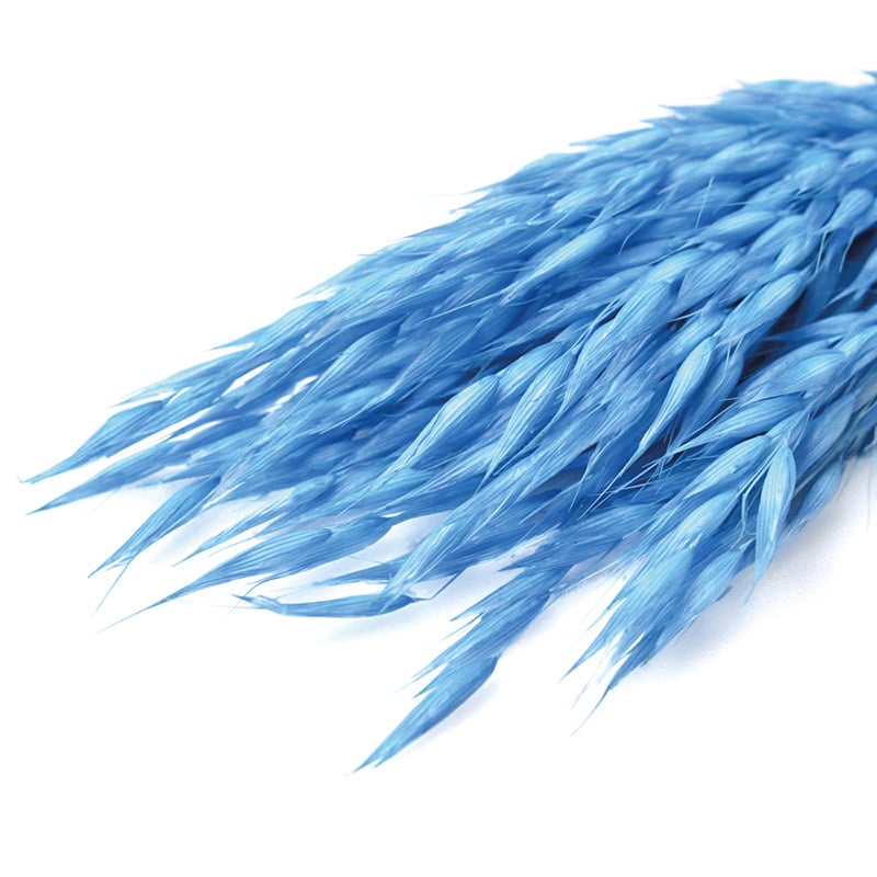 フロールエバー ドライフラワー アベーナ ドライ ライトブルー FLDR0021-940 1束(ご注文単位1束)【直送品】