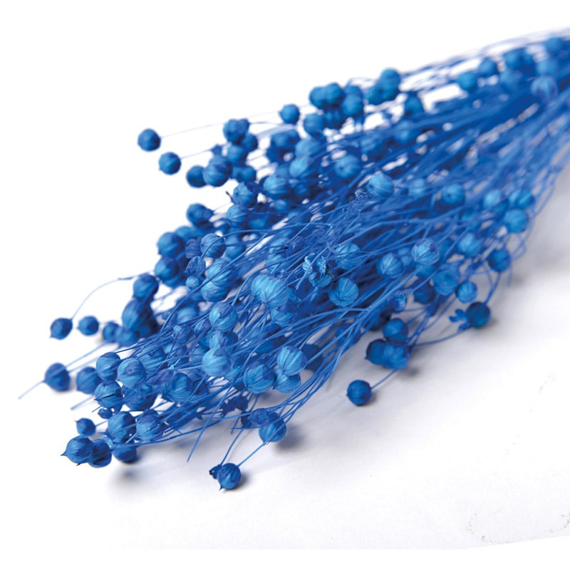 フロールエバー ドライフラワー リンフラワー ドライ ブルー FLDR0023-870 1束(ご注文単位1束)【直送品】