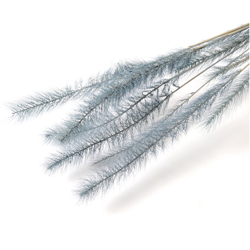 フロールエバー ドライフラワー　テールグラス　ドライ ペールブルー FLDR0029-990 1束（ご注文単位1束）【直送品】