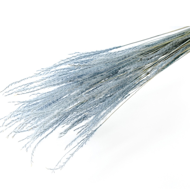 フロールエバー ドライフラワー　ファイングラス　ドライ ペールブルー FLDR0030-990 1束（ご注文単位1束）【直送品】